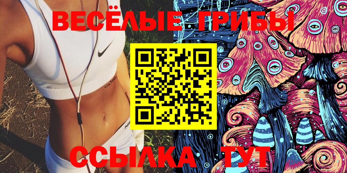 Шарыпово  Галлюциногенные грибы Magic Shrooms  Галлюциногенные грибы Cubensis  купить наркотик  Вход с VPN 