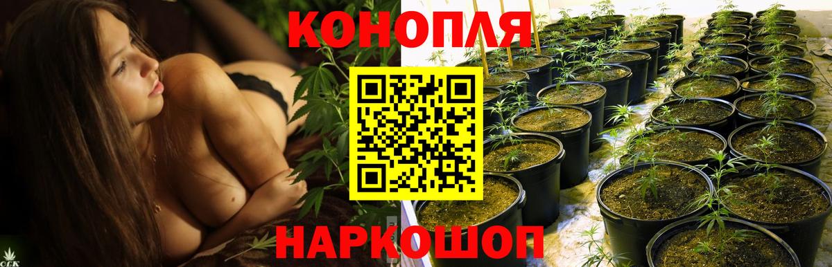 Конопля тримм Шарыпово